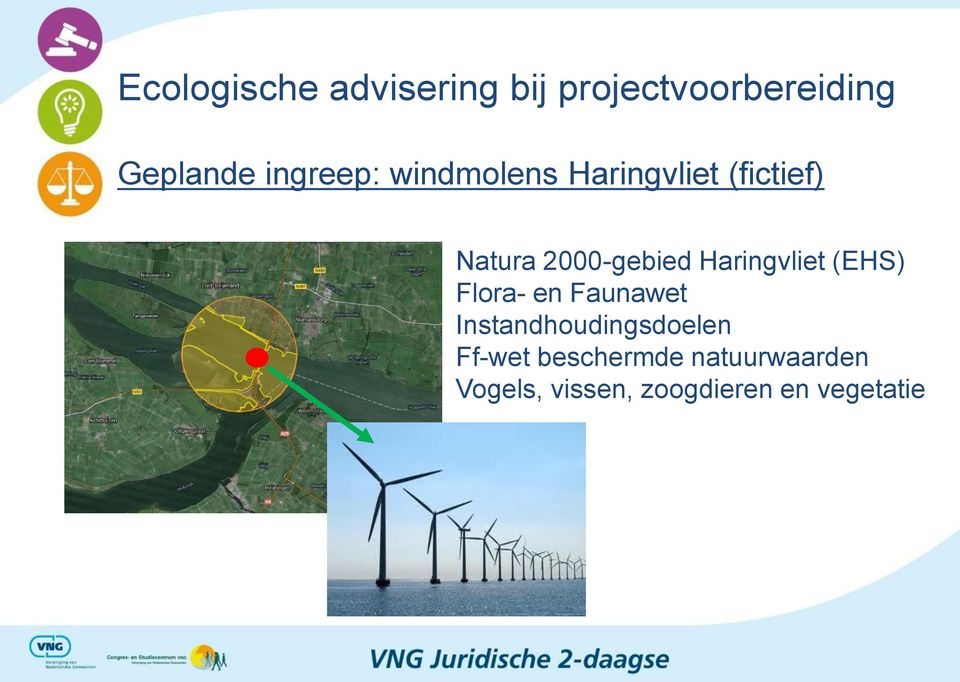 Haringvliet (EHS) Flora- en Faunawet Instandhoudingsdoelen