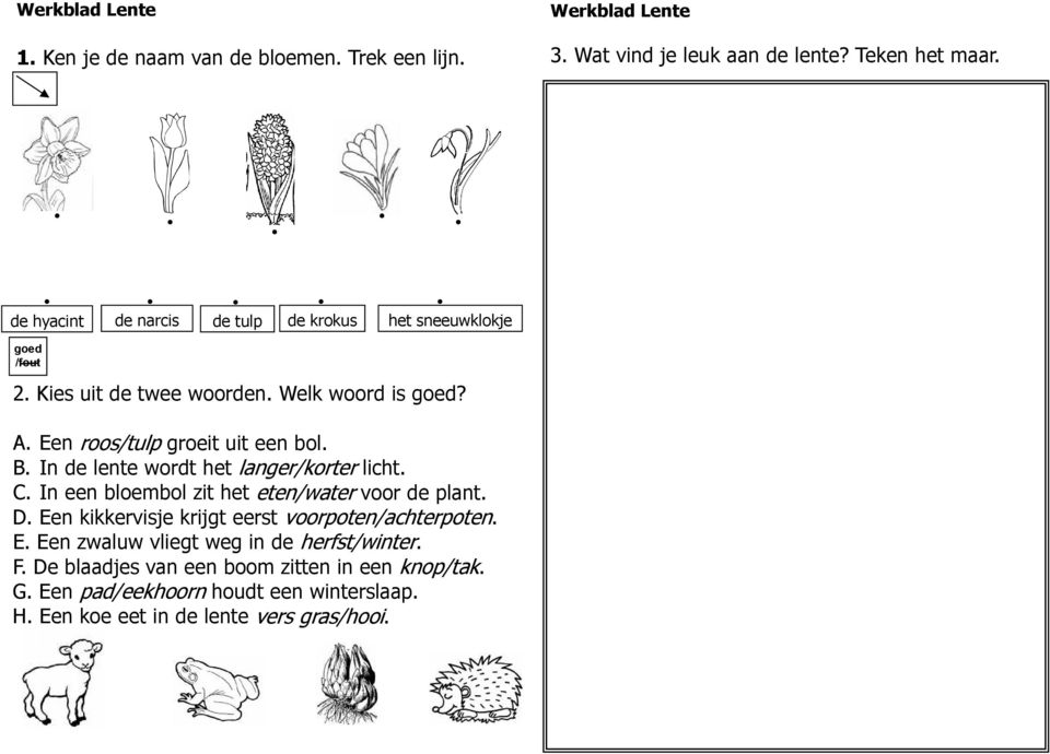 A Een roos/tulp groeit uit een bol B In de lente wordt het langer/korter licht C In een bloembol zit het eten/water voor de plant D Een kikkervisje