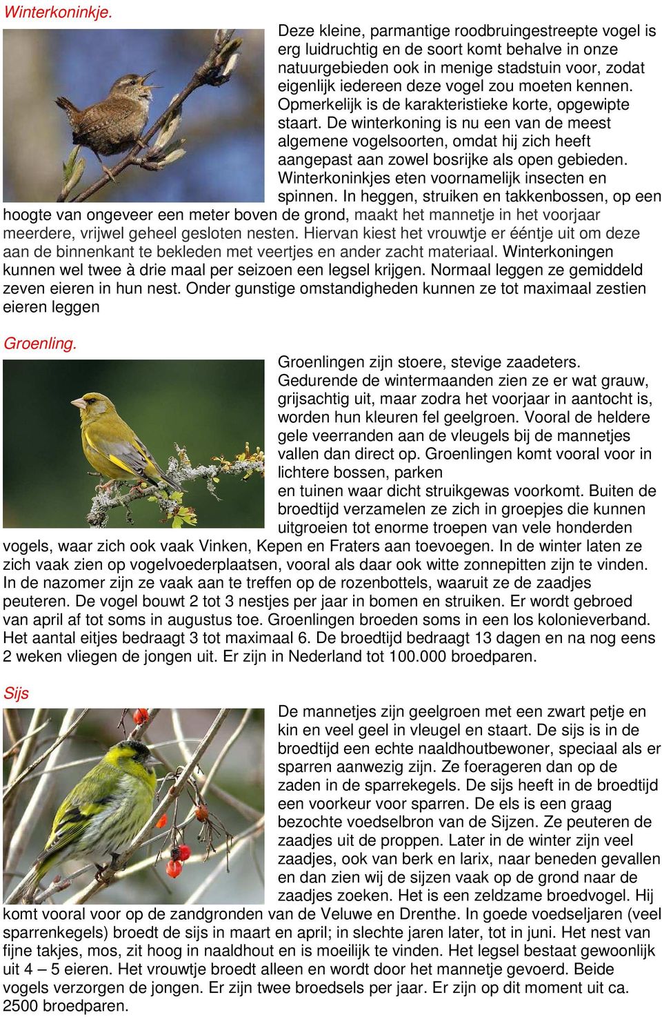 kennen. Opmerkelijk is de karakteristieke korte, opgewipte staart. De winterkoning is nu een van de meest algemene vogelsoorten, omdat hij zich heeft aangepast aan zowel bosrijke als open gebieden.