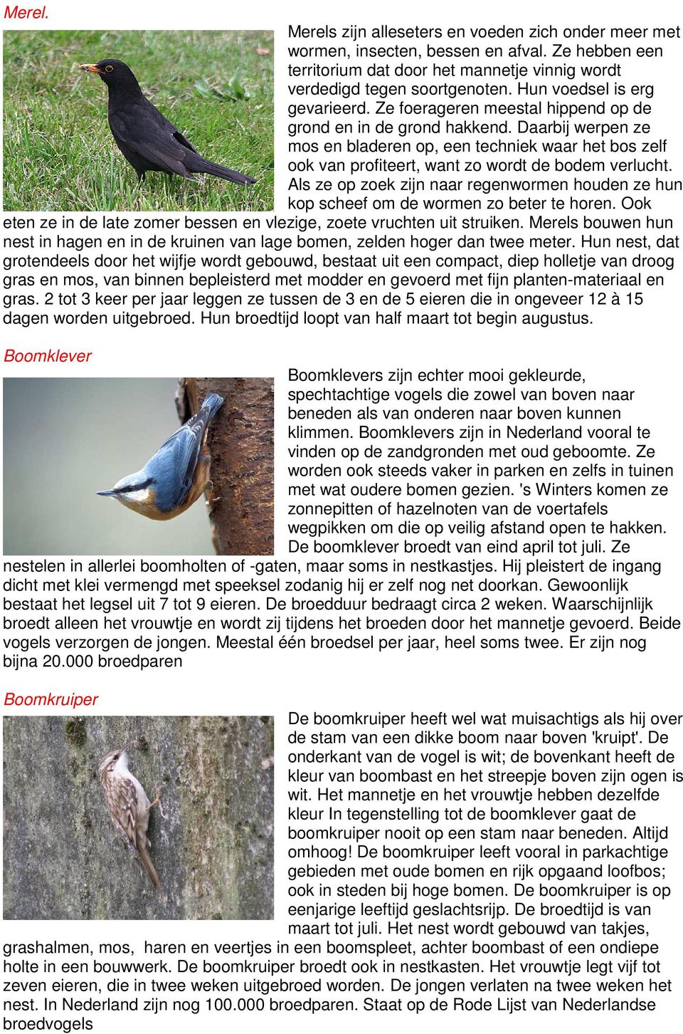 Daarbij werpen ze mos en bladeren op, een techniek waar het bos zelf ook van profiteert, want zo wordt de bodem verlucht.