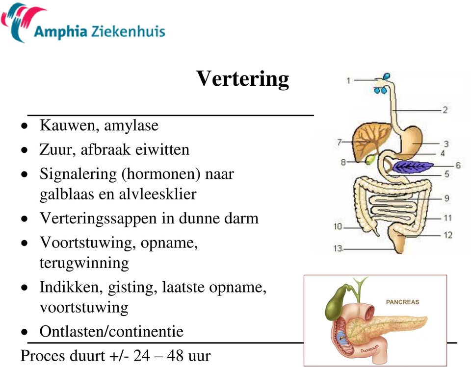 dunne darm Voortstuwing, opname, terugwinning Indikken, gisting,