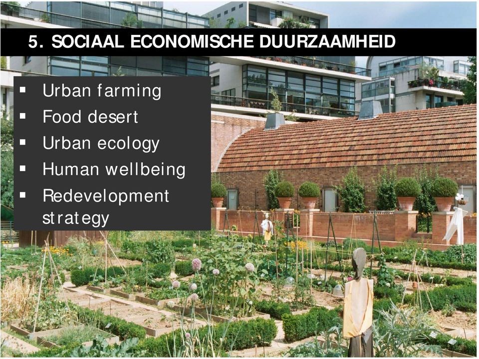 Food desert Urban ecology