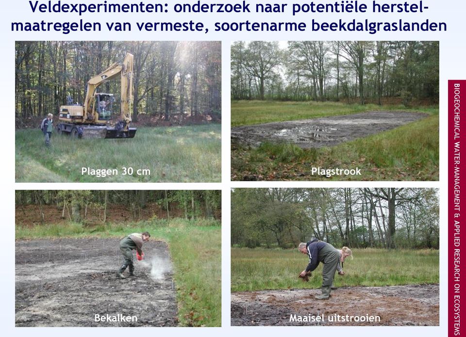 vermeste, soortenarme beekdalgraslanden