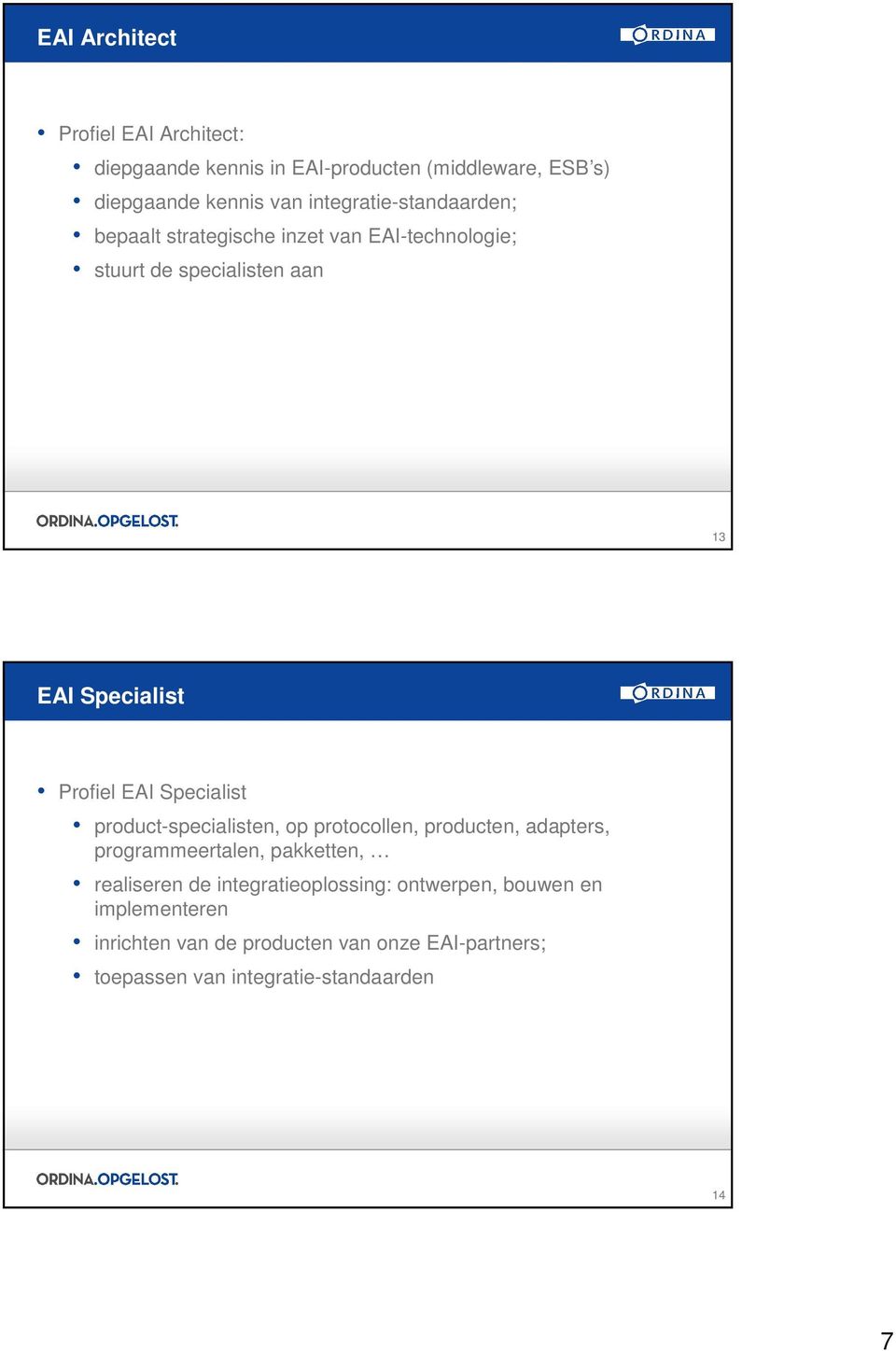 EAI Specialist product-specialisten, op protocollen, producten, adapters, programmeertalen, pakketten, realiseren de