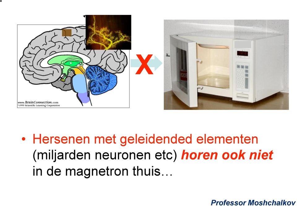 etc) horen ook niet in de