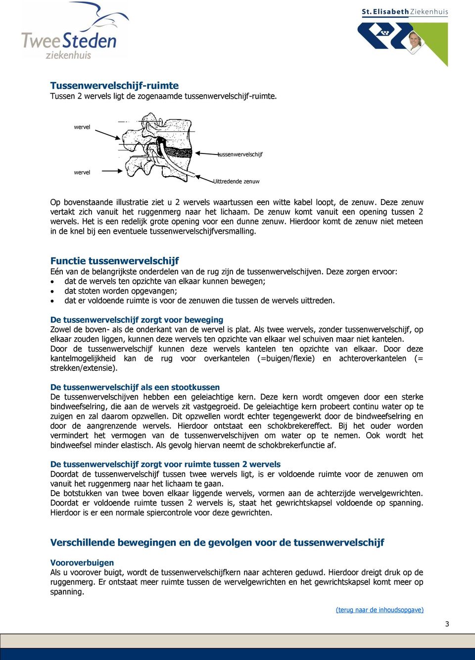 Deze zenuw vertakt zich vanuit het ruggenmerg naar het lichaam. De zenuw komt vanuit een opening tussen 2 wervels. Het is een redelijk grote opening voor een dunne zenuw.