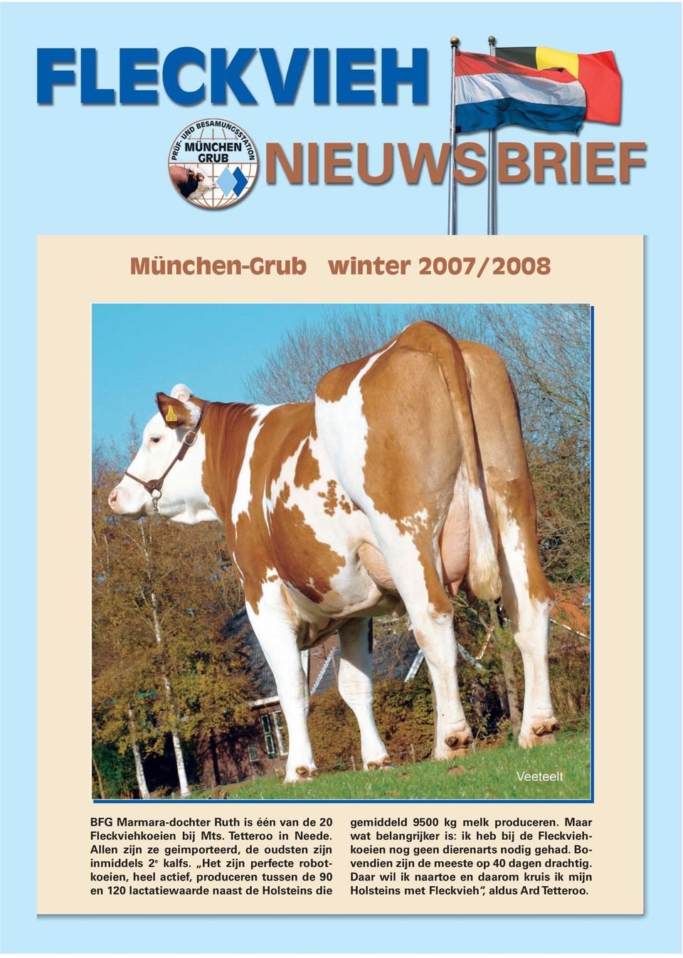 Het zijn perfecte robotkoeien, heel actief, produceren tussen de 90 en 120 lactatiewaarde naast de Holsteins die gemiddeld 9500 kg melk