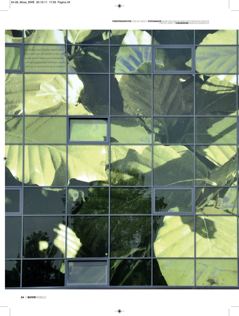 Architect Jan Poolen heeft zijn foto van een klimplant in de computer sterk vergroot