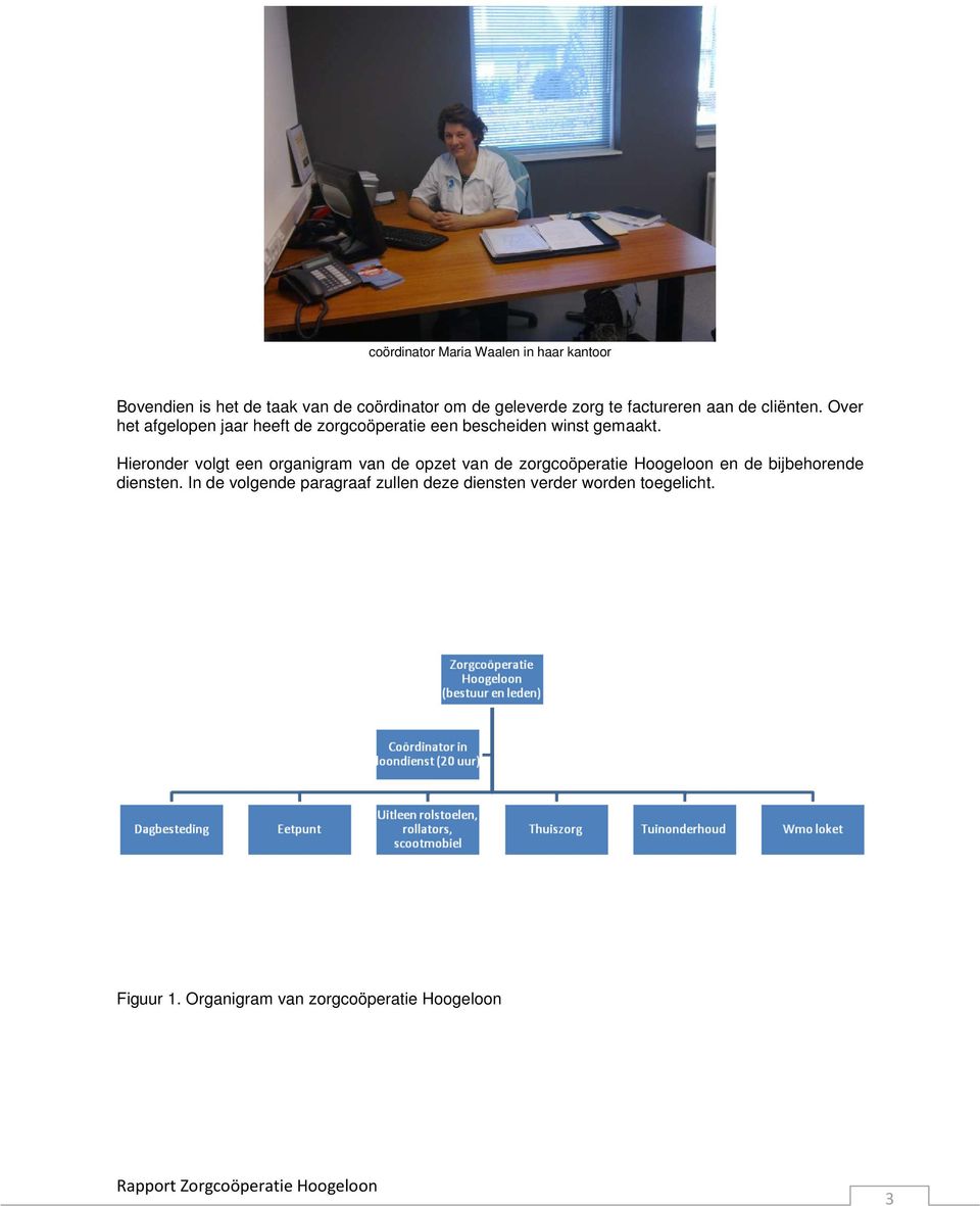 Hieronder volgt een organigram van de opzet van de zorgcoöperatie Hoogeloon en de bijbehorende diensten.