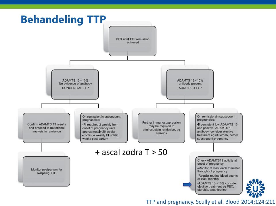 TTP and pregnancy.