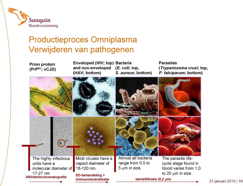 falciparum; bottom) The highly infectious units have a molecular diameter of 17-27 nm Affiniteitschromatografie Most viruses have a capsid diameter