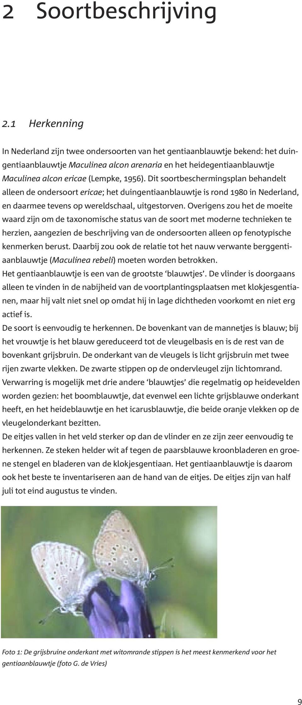 Dit soortbeschermingsplan behandelt alleen de ondersoort ericae; het duingentiaanblauwtje is rond 1980 in Nederland, en daarmee tevens op wereldschaal, uitgestorven.