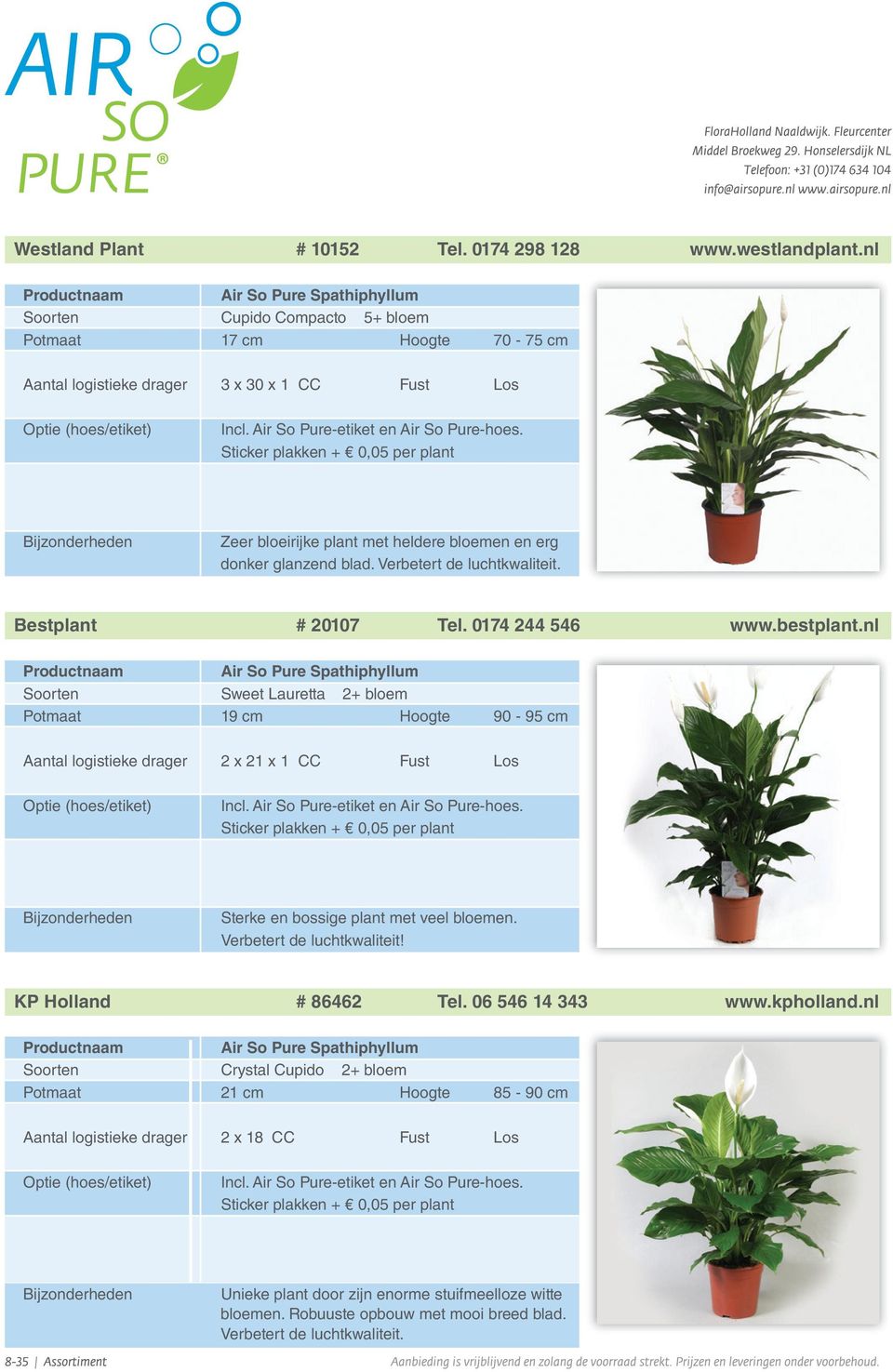 Verbetert de luchtkwaliteit. Bestplant # 20107 Tel. 0174 244 546 www.bestplant.