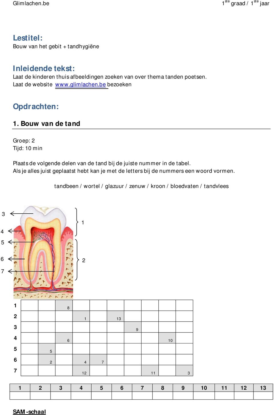 Bouw van de tand Groep: 2 Tijd: 10 min Plaats de volgende delen van de tand bij de juiste nummer in de tabel.