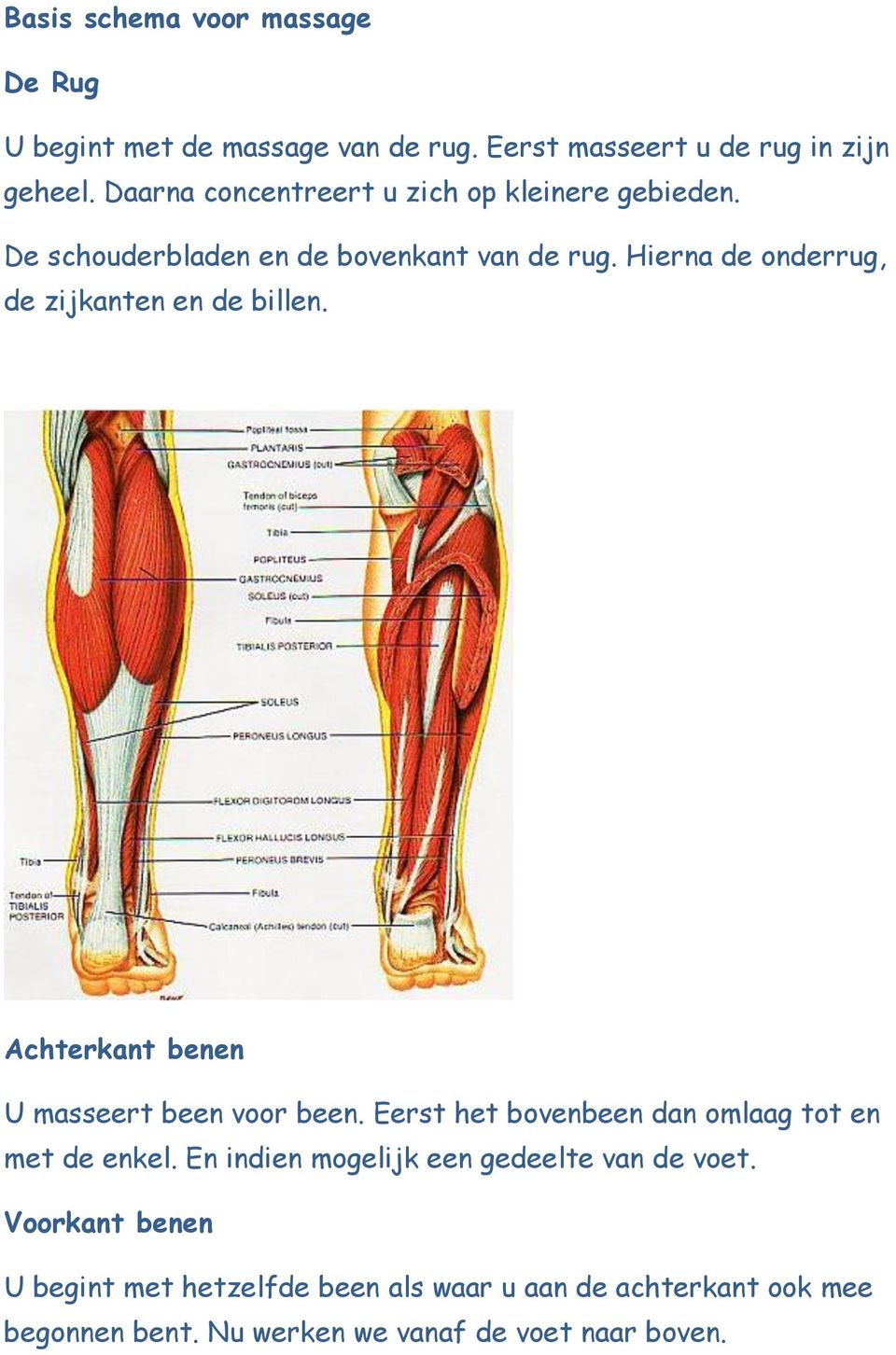 Hierna de onderrug, de zijkanten en de billen. Achterkant benen U masseert been voor been.