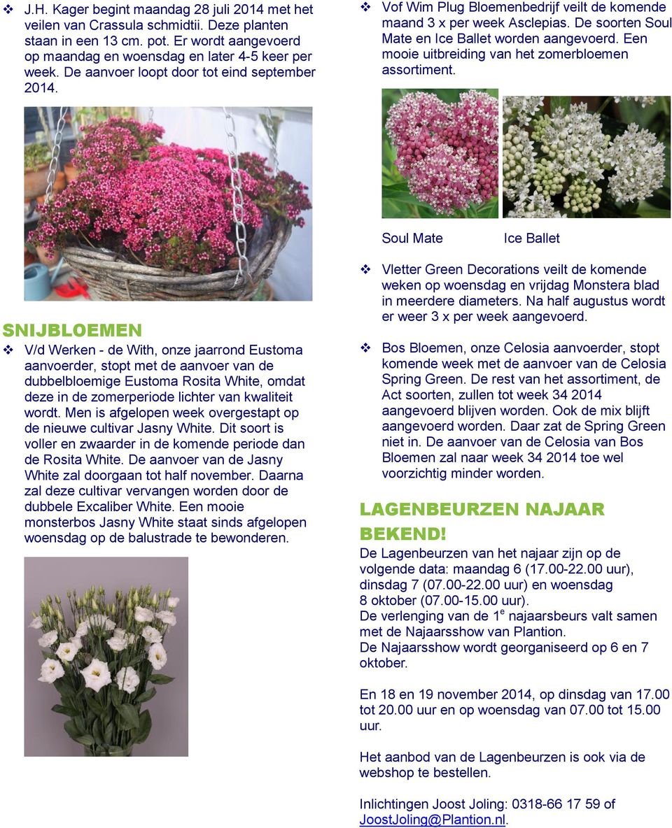 Een mooie uitbreiding van het zomerbloemen assortiment.