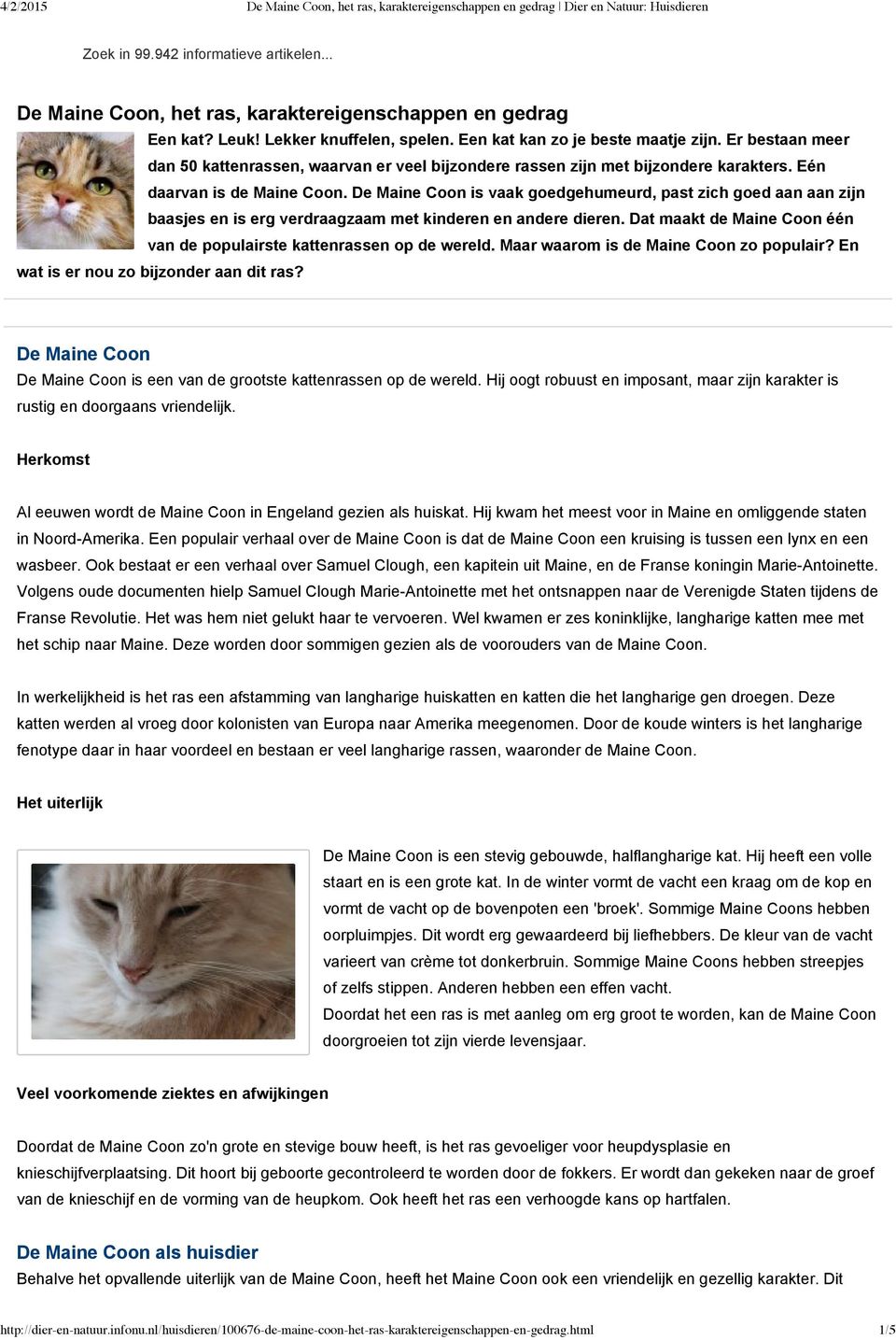 De Maine Coon is vaak goedgehumeurd, past zich goed aan aan zijn baasjes en is erg verdraagzaam met kinderen en andere dieren. Dat maakt de Maine Coon één van de populairste kattenrassen op de wereld.