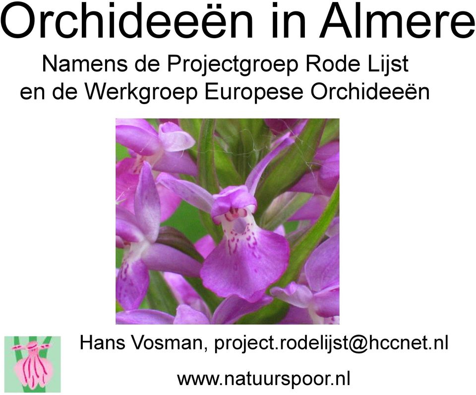 Werkgroep Europese Orchideeën Hans