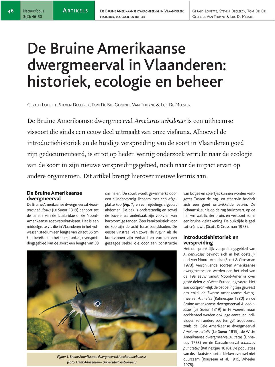 Alhoewel de introductiehistoriek en de huidige verspreiding van de soort in Vlaanderen goed zijn gedocumenteerd, is er tot op heden weinig onderzoek verricht naar de ecologie van de soort in zijn