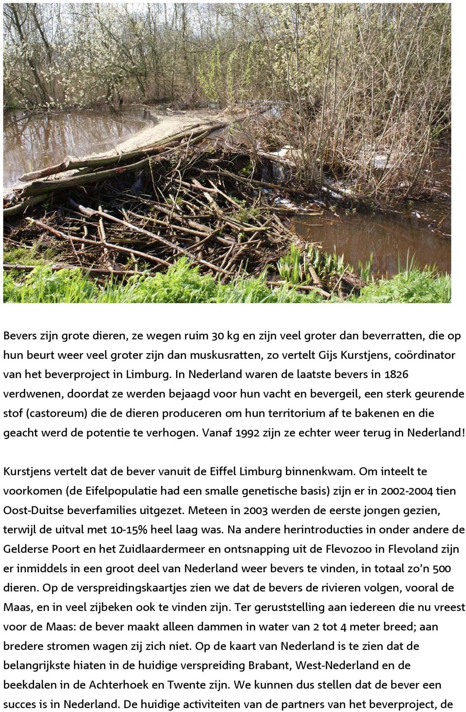 In Nederland waren de laatste bevers in 1826 verdwenen, doordat ze werden bejaagd voor hun vacht en bevergeil, een sterk geurende stof (castoreum) die de dieren produceren om hun territorium af te