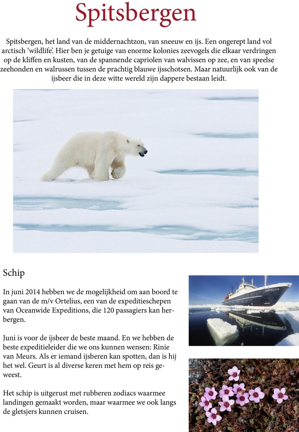 prachtig blauwe ijsschotsen. Maar natuurlijk ook van de ijsbeer die in deze witte wereld zijn dappere bestaan leidt.
