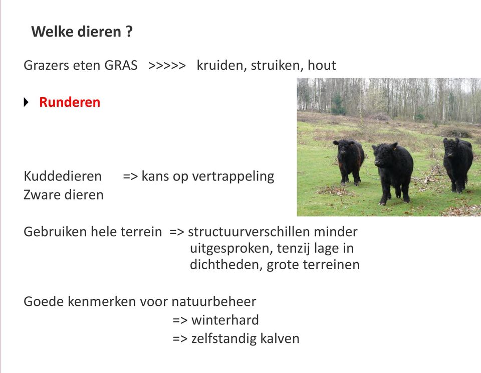 dieren => kans op vertrappeling Gebruiken hele terrein =>