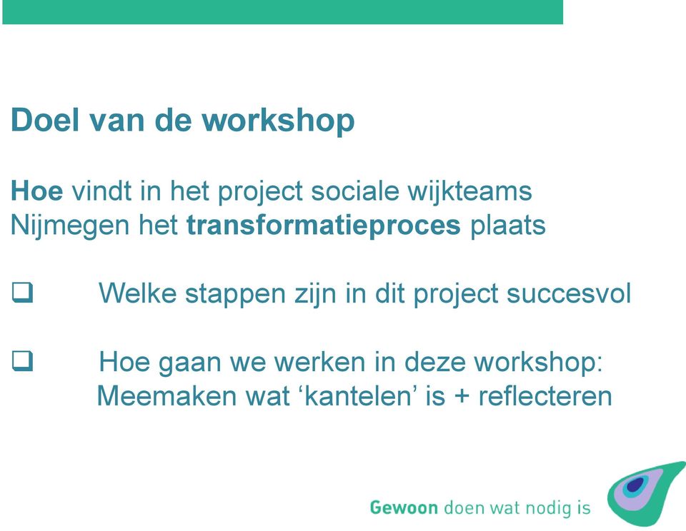 stappen zijn in dit project succesvol Hoe gaan we