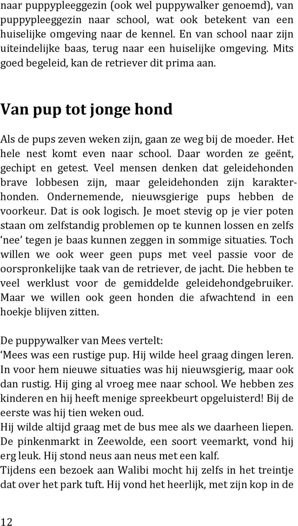 Van pup tot jonge hond Als de pups zeven weken zijn, gaan ze weg bij de moeder. Het hele nest komt even naar school. Daar worden ze geënt, gechipt en getest.