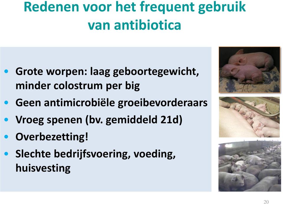 antimicrobiële groeibevorderaars Vroeg spenen (bv.