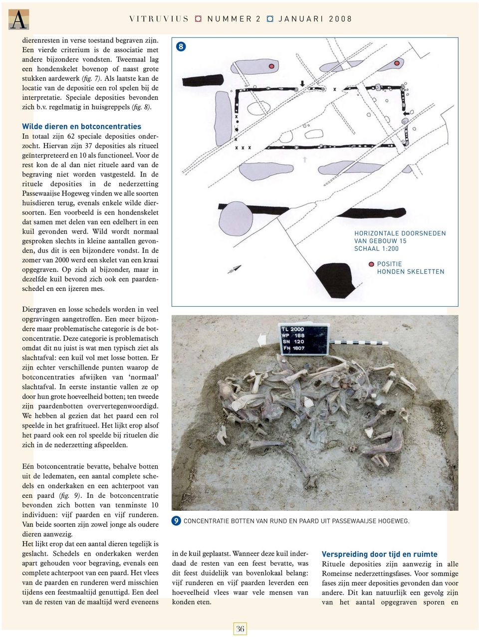 8). 8 Wilde dieren en botconcentraties In totaal zijn 62 speciale deposities onderzocht. Hiervan zijn 37 deposities als ritueel geïnterpreteerd en 10 als functioneel.
