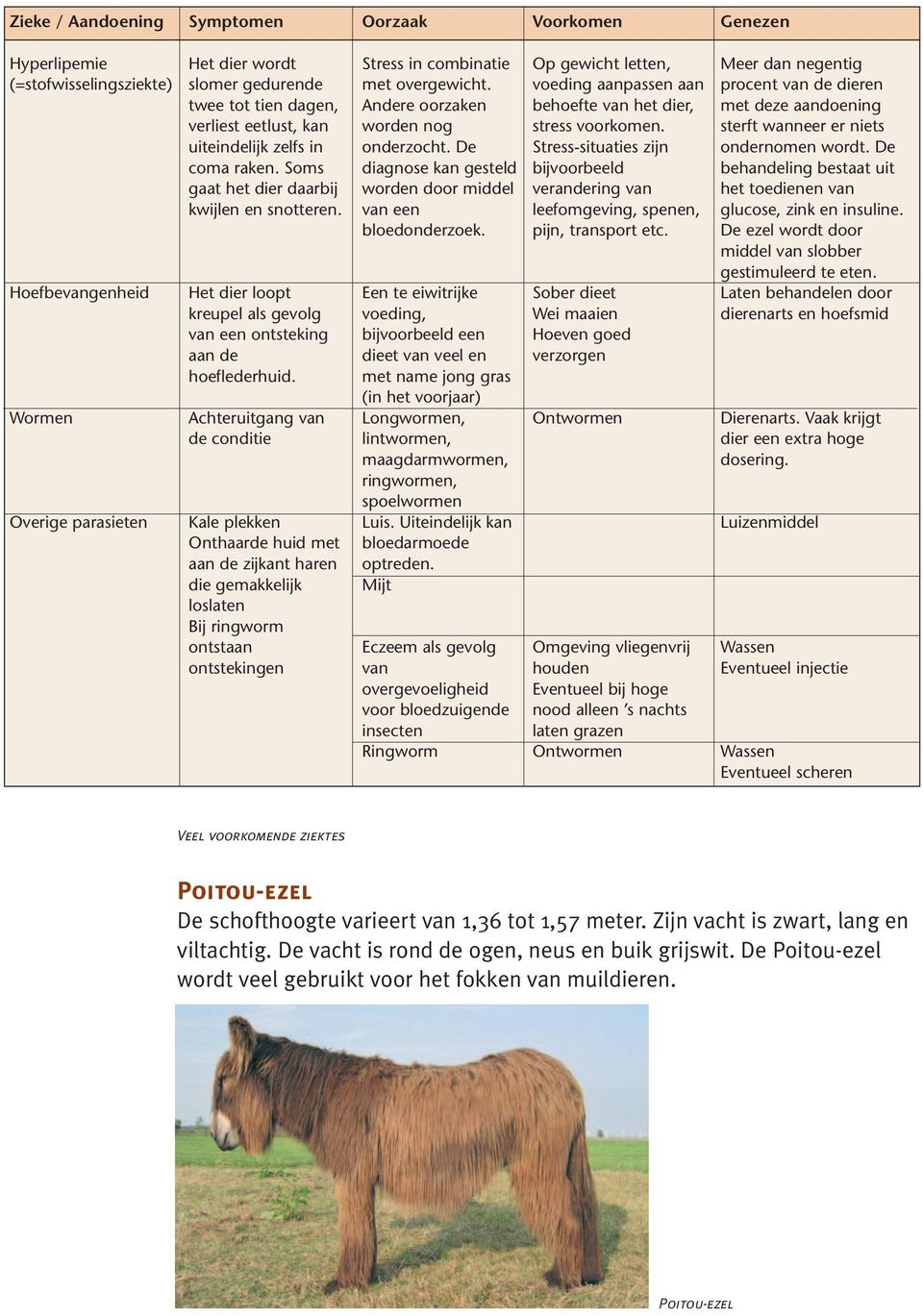 Achteruitgang van de conditie Kale plekken Onthaarde huid met aan de zijkant haren die gemakkelijk loslaten Bij ringworm ontstaan ontstekingen Stress in combinatie met overgewicht.