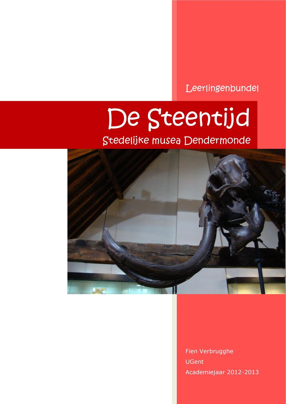 musea Dendermonde Fien