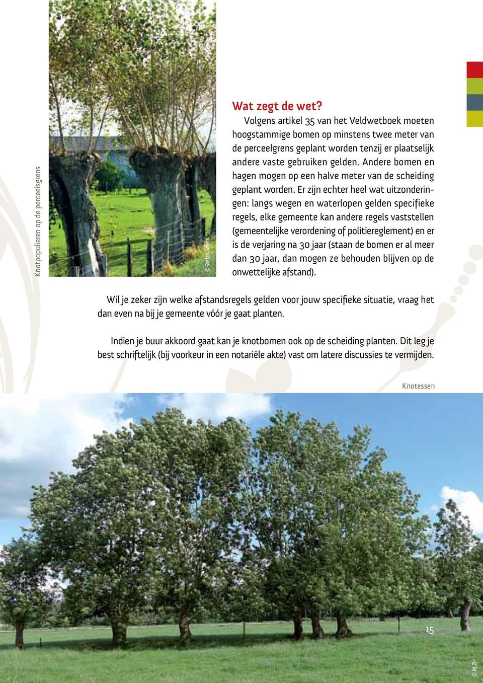 Andere bomen en hagen mogen op een halve meter van de scheiding geplant worden.