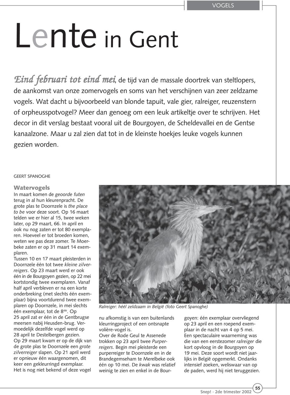 Het decor in dit verslag bestaat vooral uit de Bourgoyen, de Scheldevallei en de Gentse kanaalzone. Maar u zal zien dat tot in de kleinste hoekjes leuke vogels kunnen gezien worden.