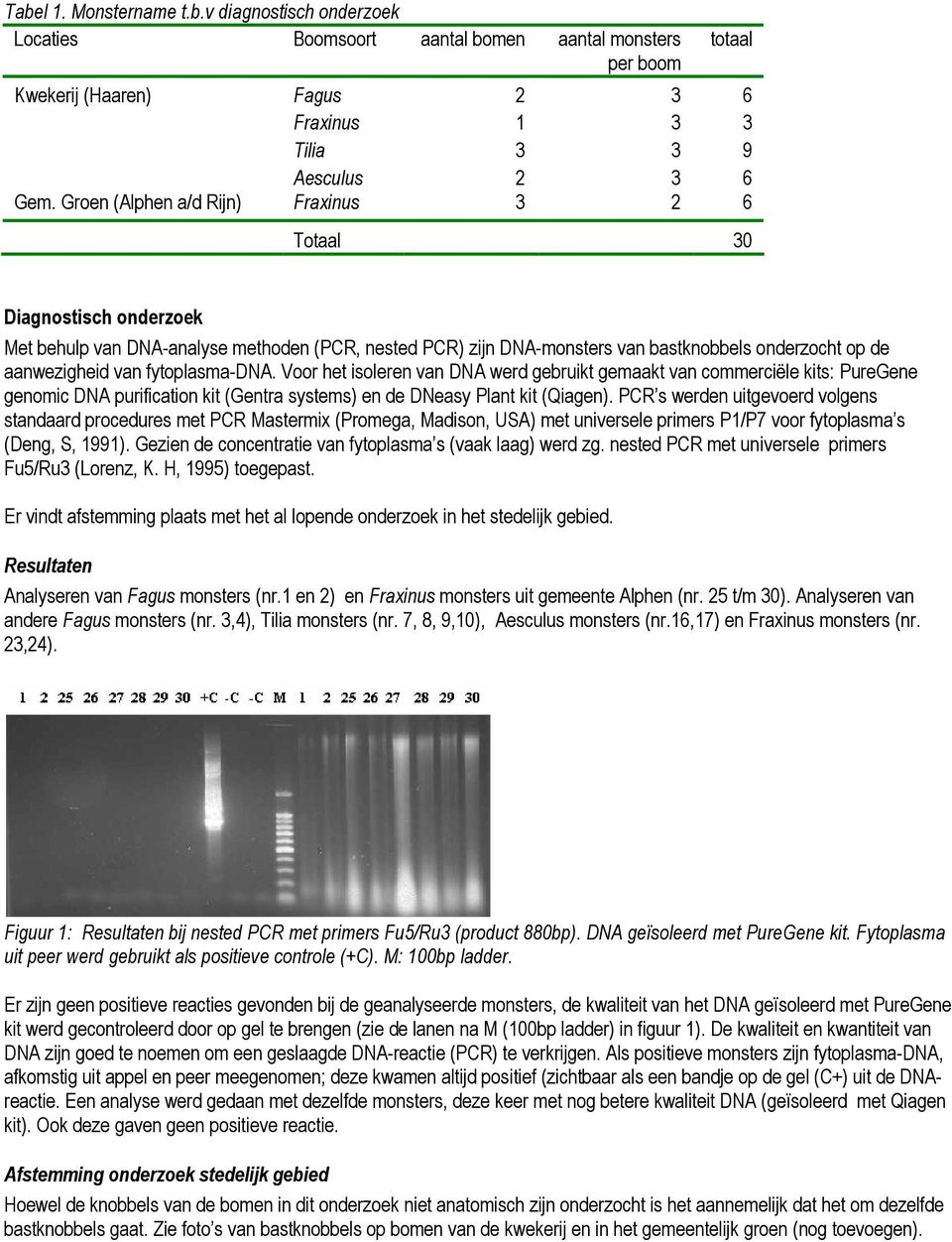 fytoplasma-dna. Voor het isoleren van DNA werd gebruikt gemaakt van commerciële kits: PureGene genomic DNA purification kit (Gentra systems) en de DNeasy Plant kit (Qiagen).