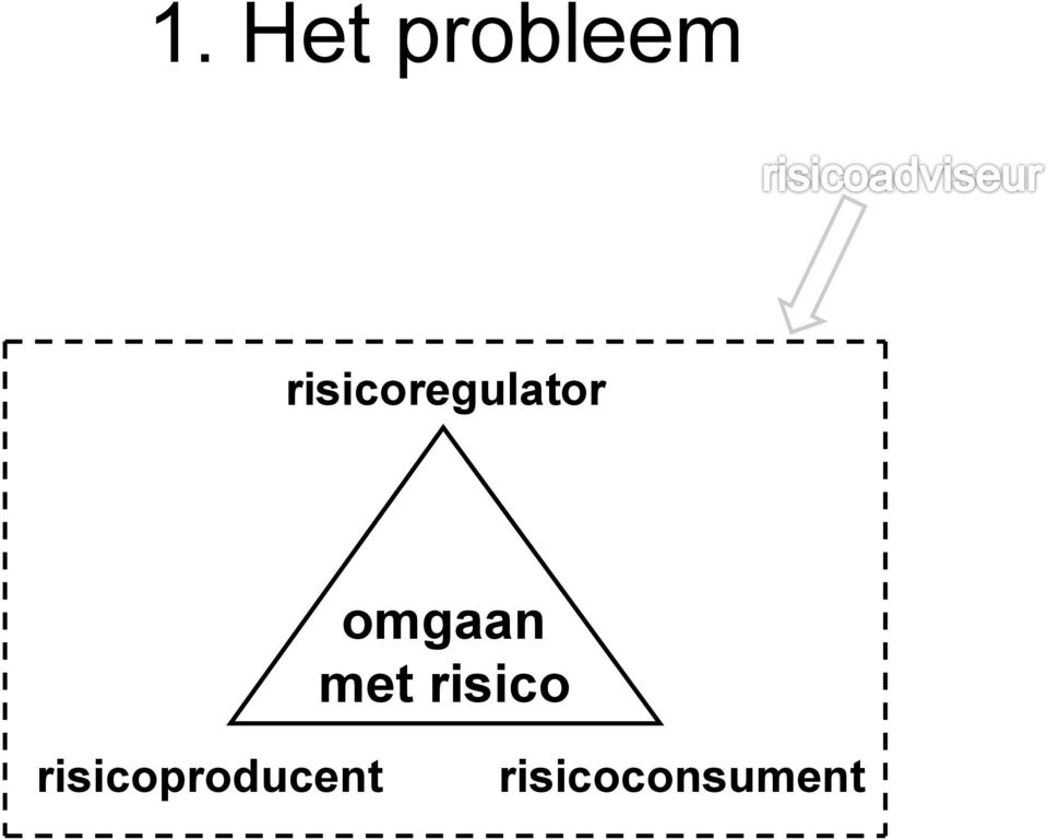 omgaan met risico