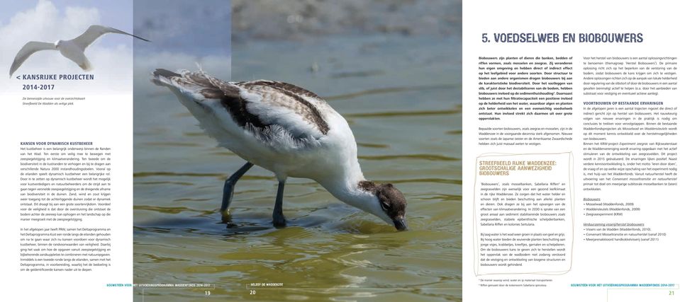 Ten tweede om de biodiversiteit in de kustranden te verhogen en bij te dragen aan verschillende Natura 2000 instandhoudingsdoelen.