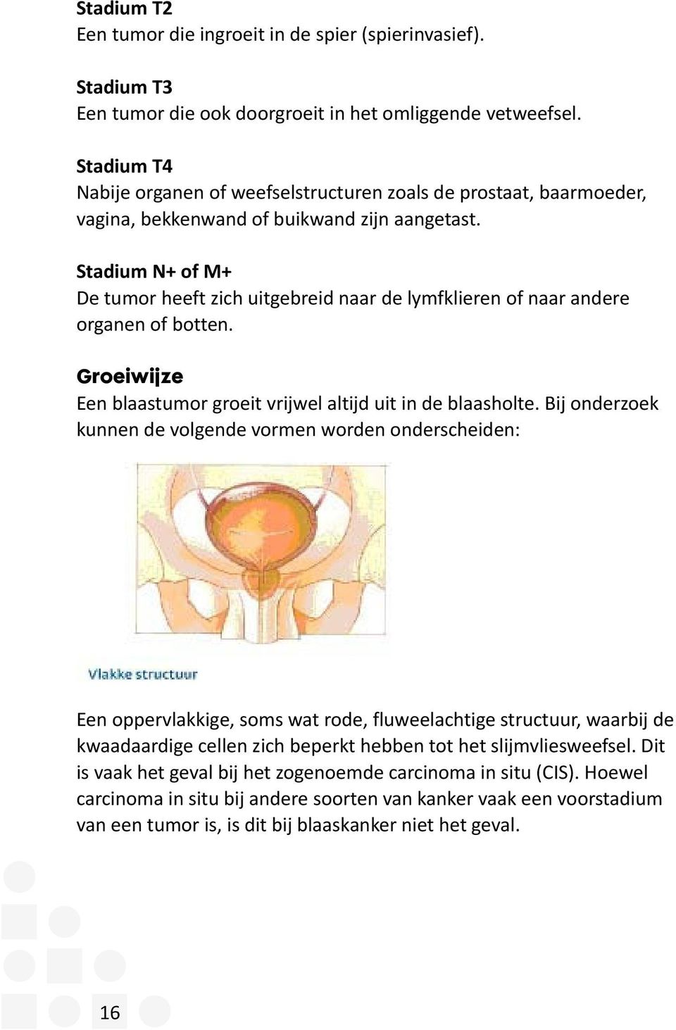 Stadium N+ of M+ De tumor heeft zich uitgebreid naar de lymfklieren of naar andere organen of botten. Groeiwijze Een blaastumor groeit vrijwel altijd uit in de blaasholte.