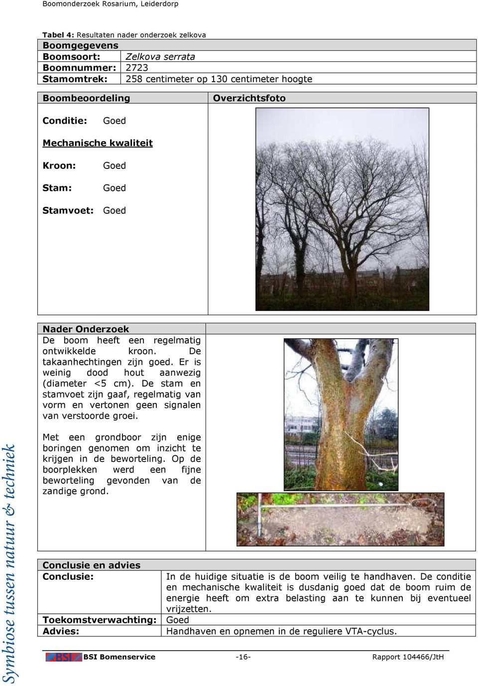 Er is weinig dood hout aanwezig (diameter <5 cm). De stam en stamvoet zijn gaaf, regelmatig van vorm en vertonen geen signalen van verstoorde groei.