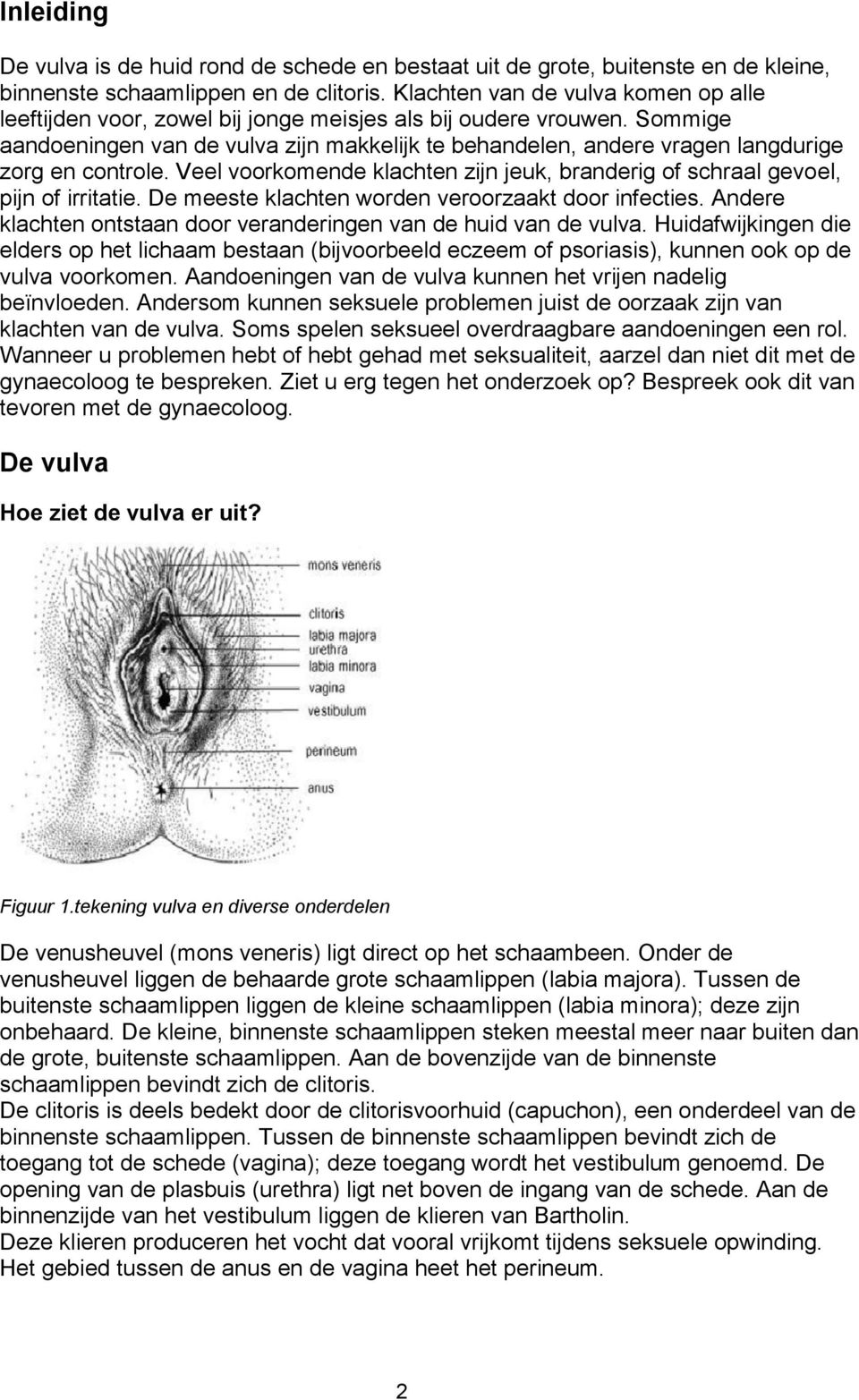 Sommige aandoeningen van de vulva zijn makkelijk te behandelen, andere vragen langdurige zorg en controle. Veel voorkomende klachten zijn jeuk, branderig of schraal gevoel, pijn of irritatie.