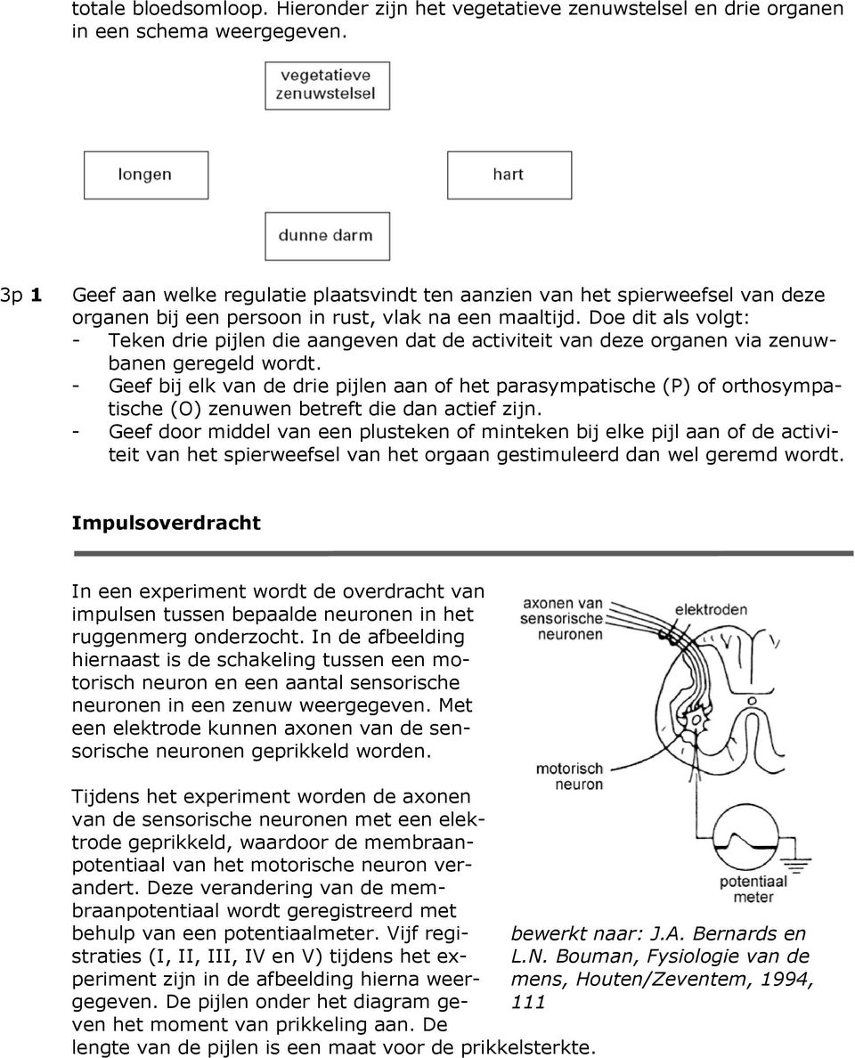 Doe dit als volgt: - Teken drie pijlen die aangeven dat de activiteit van deze organen via zenuwbanen geregeld wordt.