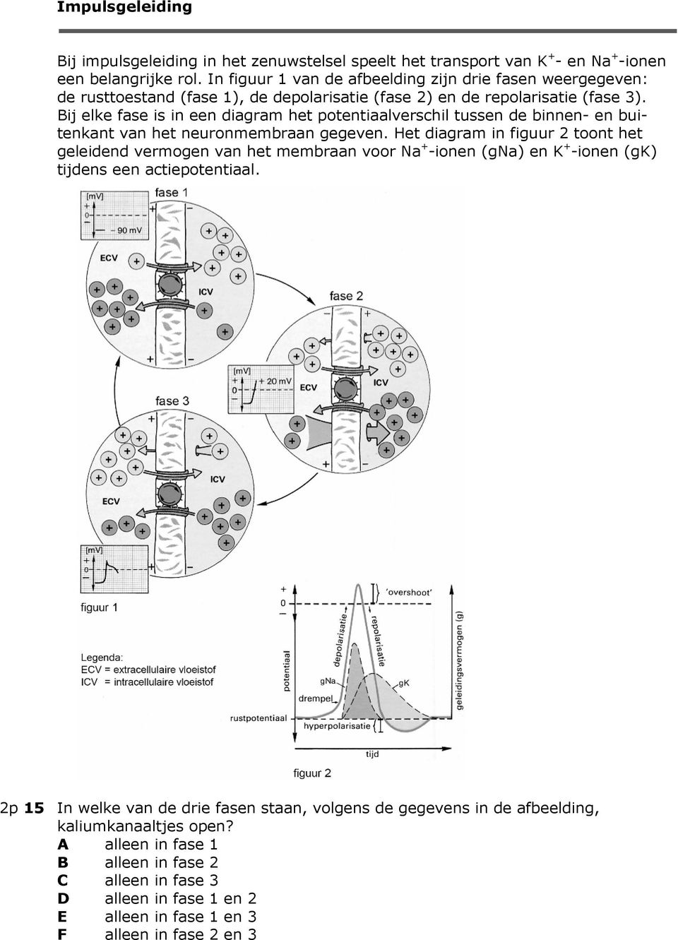 Bij elke fase is in een diagram het potentiaalverschil tussen de binnen- en buitenkant van het neuronmembraan gegeven.