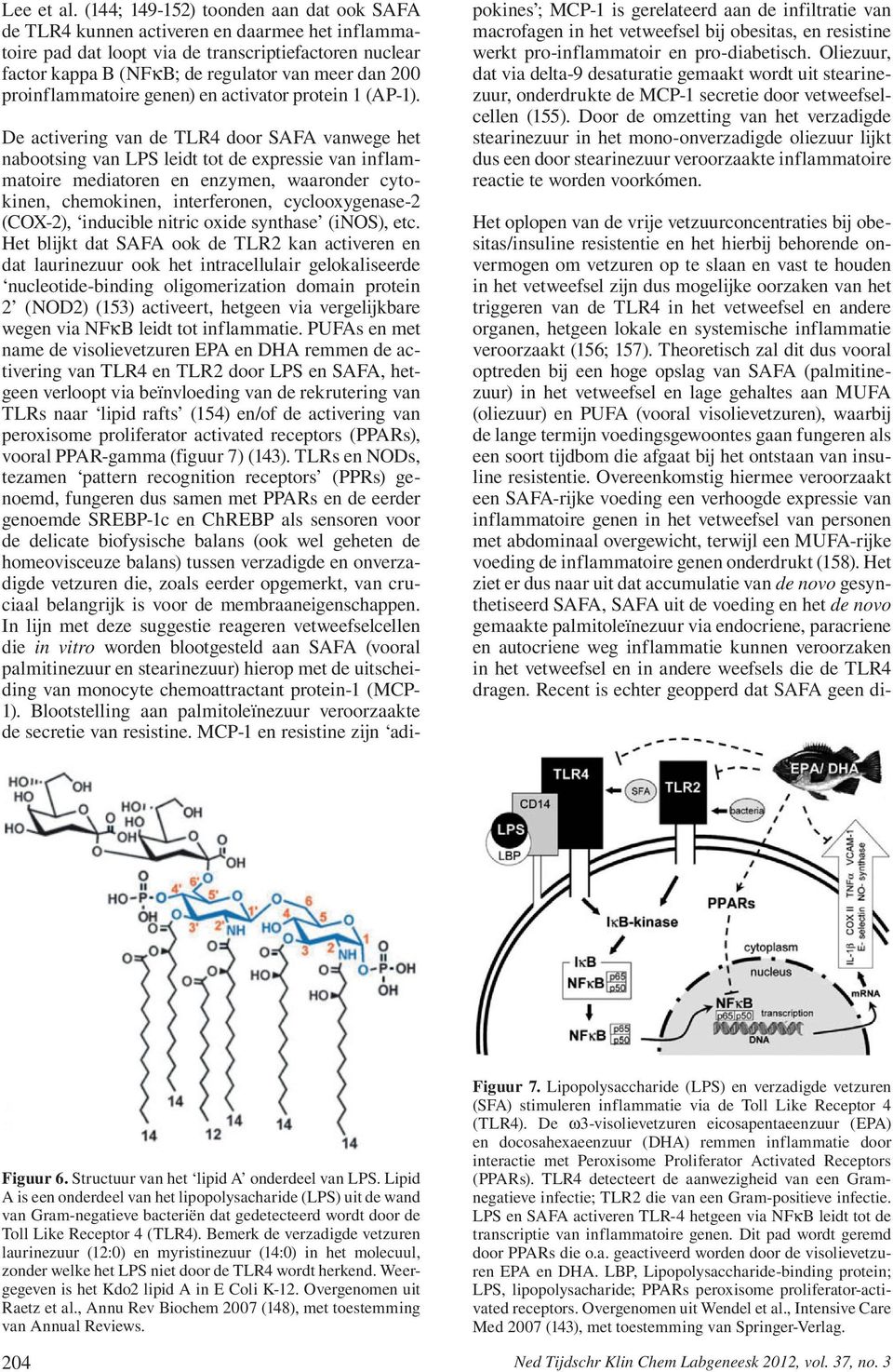 proinflammatoire genen) en activator protein 1 (AP-1).