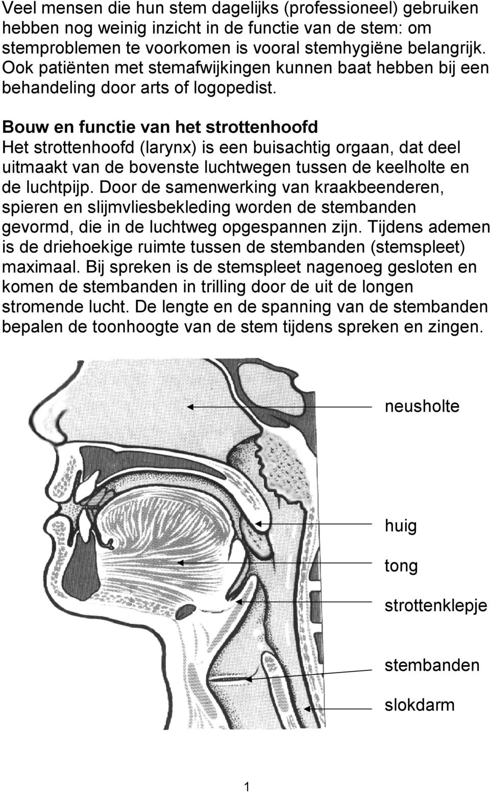 Bouw en functie van het strottenhoofd Het strottenhoofd (larynx) is een buisachtig orgaan, dat deel uitmaakt van de bovenste luchtwegen tussen de keelholte en de luchtpijp.
