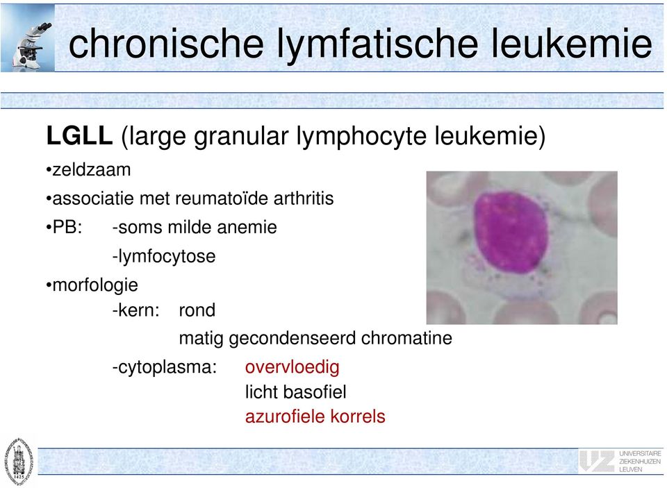 milde anemie -lymfocytose morfologie -kern: rond matig