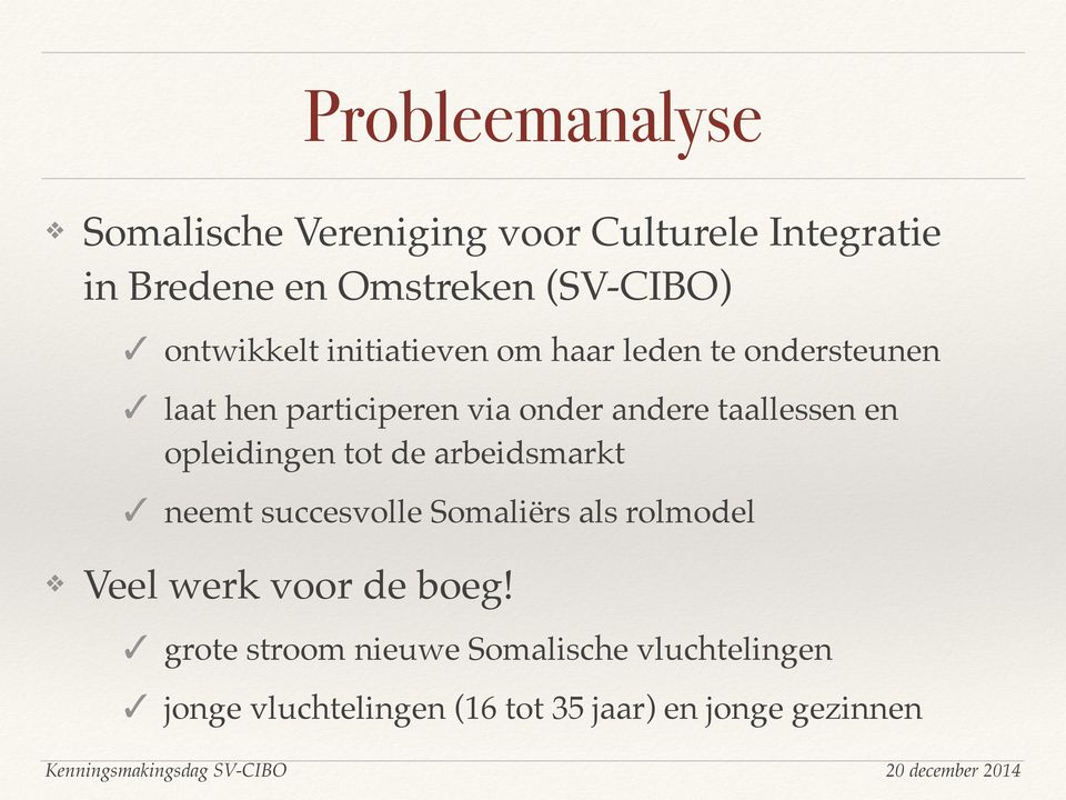 taallessen en opleidingen tot de arbeidsmarkt neemt succesvolle Somaliërs als rolmodel Veel werk