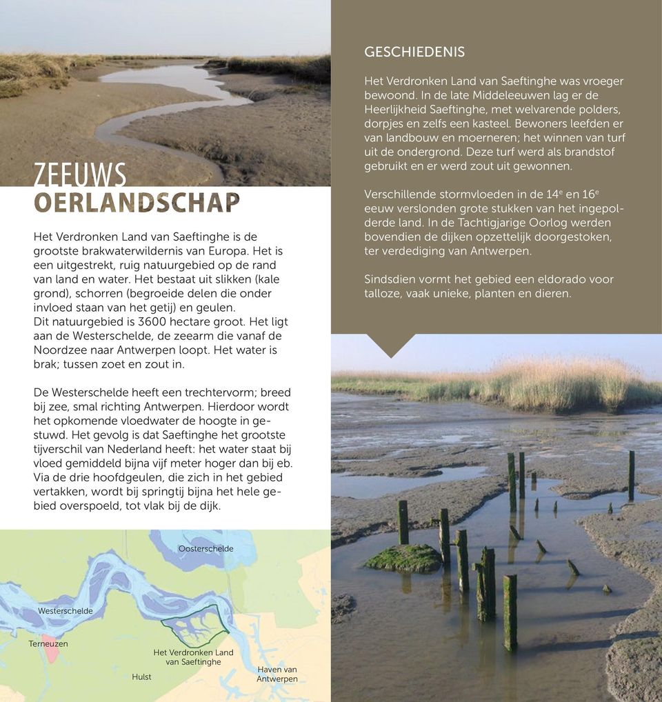 Het ligt aan de Westerschelde, de zeearm die vanaf de Noordzee naar Antwerpen loopt. Het water is brak; tussen zoet en zout in. Het Verdronken Land van Saeftinghe was vroeger bewoond.