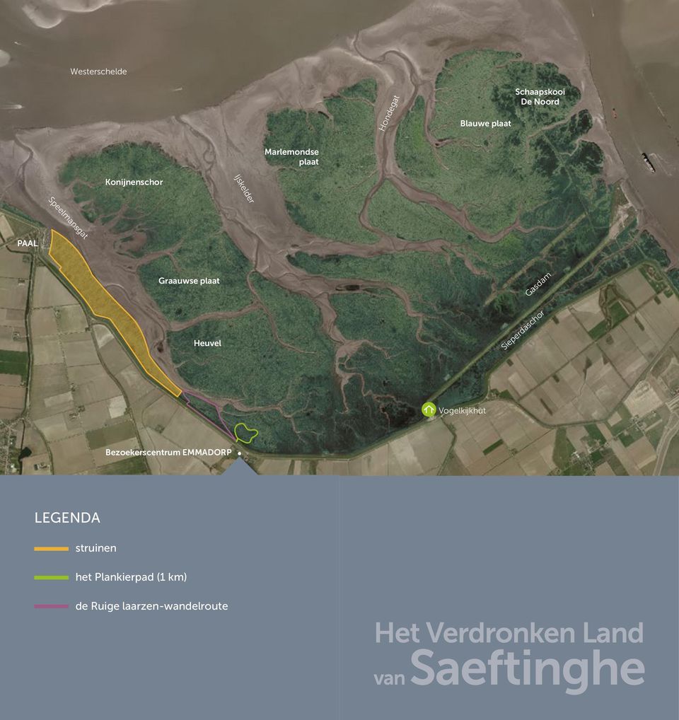 Graauwse plaat Heuvel Gasdam Sieperdaschor Vogelkijkhut