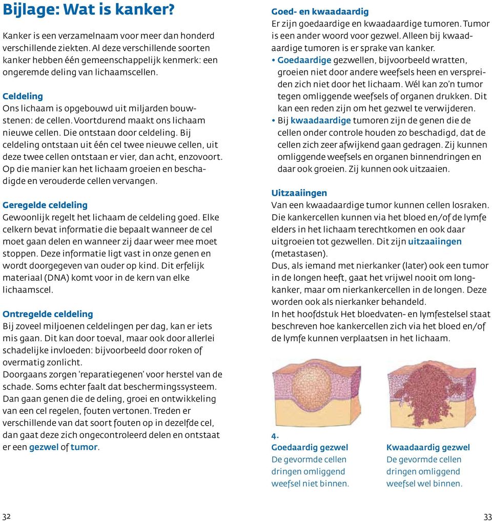 Voortdurend maakt ons lichaam nieuwe cellen. Die ontstaan door celdeling. Bij celdeling ontstaan uit één cel twee nieuwe cellen, uit deze twee cellen ontstaan er vier, dan acht, enzovoort.