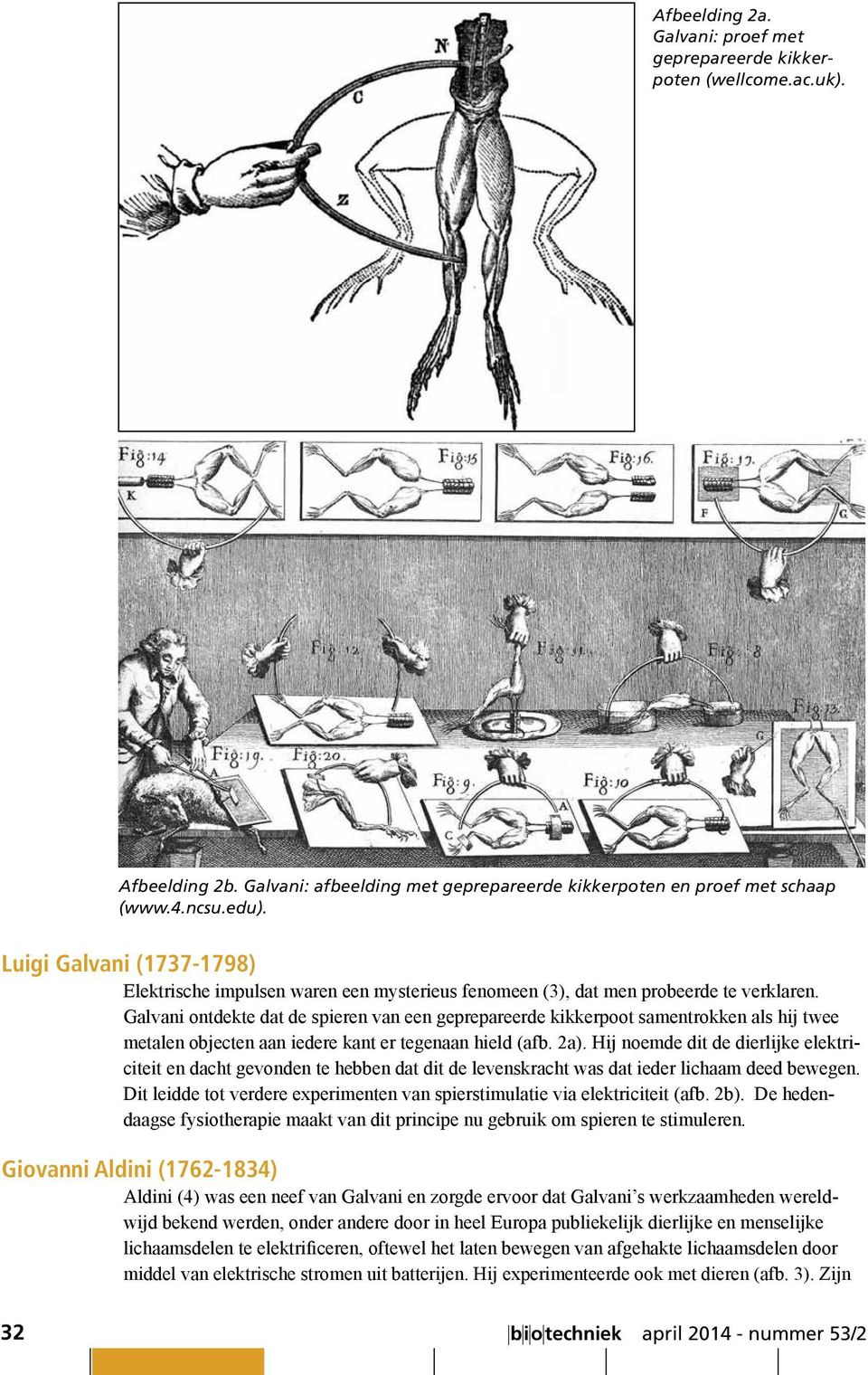 Galvani ontdekte dat de spieren van een geprepareerde kikkerpoot samentrokken als hij twee metalen objecten aan iedere kant er tegenaan hield (afb. 2a).